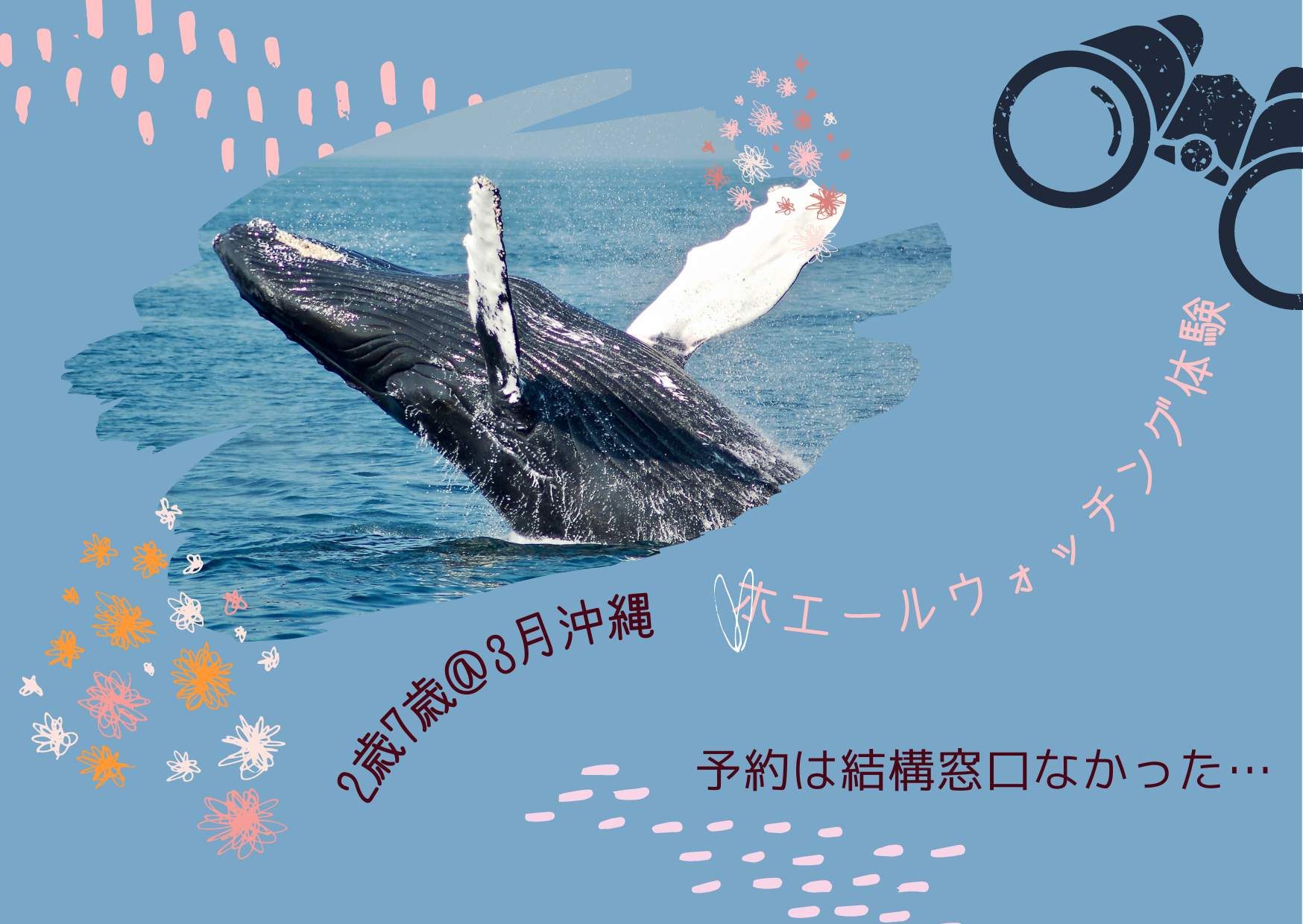 2歳7歳と3月沖縄でホエールウォッチング!予約方法
